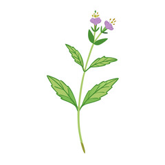 Purple Flower and Green Leaves Illustration on Black