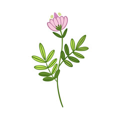 Cute pink flower with green leaves illustration isolated