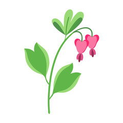 Bleeding heart flower illustration on black background, vector