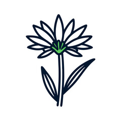 Simple Flower Illustration with Dark Blue Outline on Black