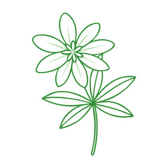 Green floral line art on black background design