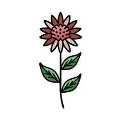 Elegant pink flower illustration on a black background