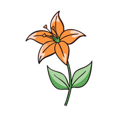 Orange Lily Flower Illustration on Black Background Design
