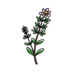 Elegant floral twig with unique daisy bloom graphic