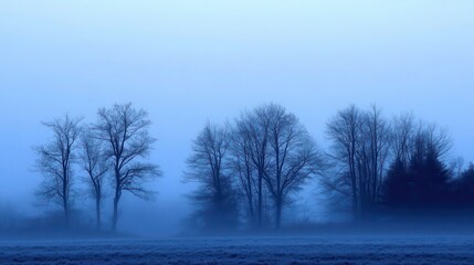 Silhouetted trees in a tranquil, misty dawn.