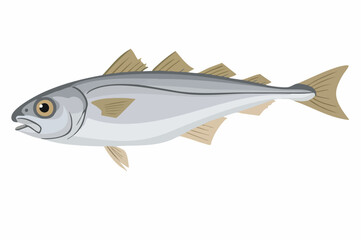 Fototapeta premium Vector Illustration of a Fish. Vector Image