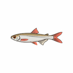 Vector illustration of a small freshwater fish. Vector Image