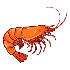 Vector illustration of a cooked shrimp. Vector Image