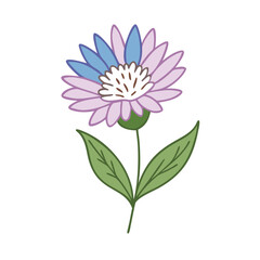 Whimsical blue and pink flower illustration on black