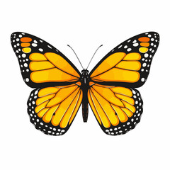 Obraz premium Orange Butterfly with Black and White Spots Illustration. Vector Image