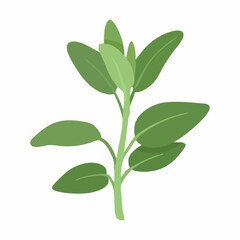 Green Plant with Multiple Leaves and Stem. Vector Image