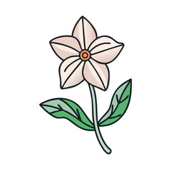 Elegant Star Flower Illustration on Dark Background