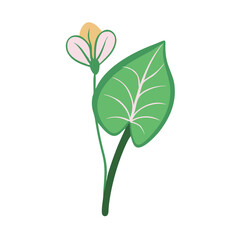 Minimalist Flower and Leaf Illustration on Black Background