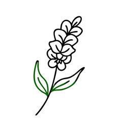 Abstract Green Leaf Illustration on Black Background Design