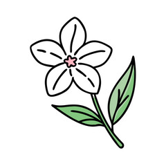 Single hand drawn flower with green leaves art