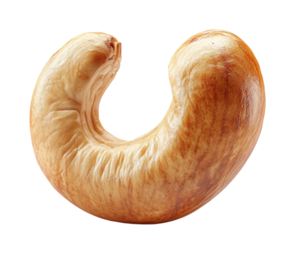 Delicious cashew nut harvest tropical farm food natural. Isolated on transparent background, png.