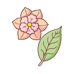 Cute peach blossom flower with green leaf illustration