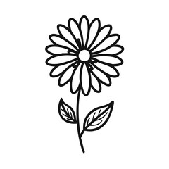 Simple Daisy Flower Outline on Black Background Vector