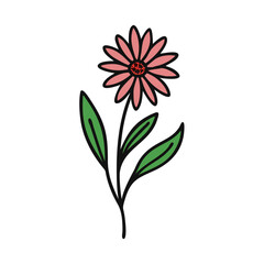 Pink Daisy Flower Illustration on Black Background