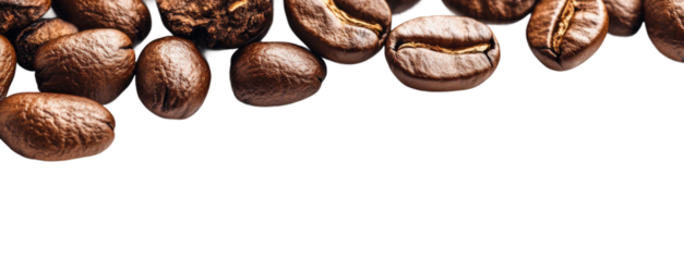 Coffee beans natural light minimalist. Isolated on transparent background, png.