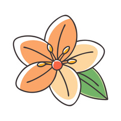 Illustration of a beautiful flower in orange color