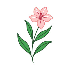 Pink Flower with Green Leaves on Black Background