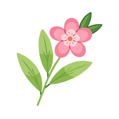 Pink flower with leaves vector illustration art design