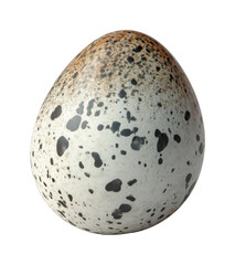 Unique spotted egg display natural habitat still life nature study. Isolated on transparent background, png.