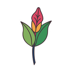 Botanical Art: Colorful Floral Illustration with Black Background