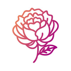 Rose Line Art Illustration with Gradient on Black
