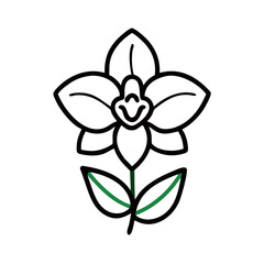 Simple Orchid Flower Line Art with Green Stem