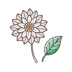Isolated Flower and Leaf Illustration on Black Background