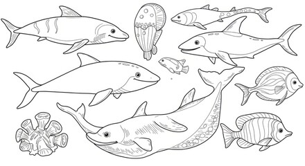 Black And White Line Art Illustration Of Aquatic Creatures