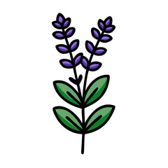 Simple Lavender Flower Design on Black Background Illustration
