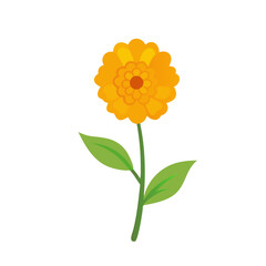 Yellow Flower with Green Stem on Black Background