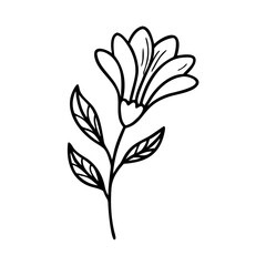 Pure Black Image: Void, Absence, Darkness, Absolute Black