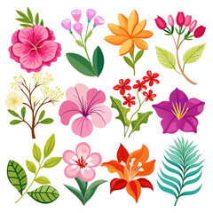 Colorful floral collection, vector art illustration, isolated on white