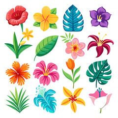 Tropical Flowers and Leaves Vector Graphic Illustration Set