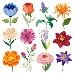 Diverse Flower Collection - Botanical Illustrations for Design