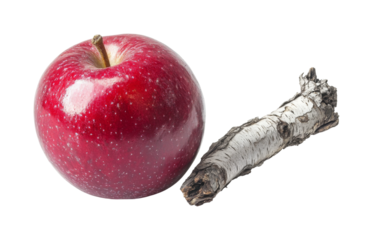 Fresh red apple and birch branch on food. Isolated on transparent background, png.
