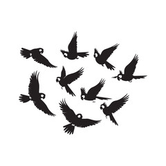 silhouettes of birds, flying birds silhouettes on white background. Vector illustration, 