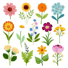 Collection of colorful floral illustrations on a white background