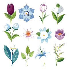 Assorted Delicate Flowers Clip Art, Isolated on White