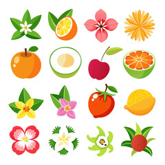 Tropical Fruits and Flowers Vector Illustration Set
