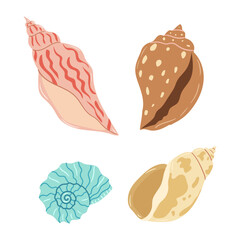 Vibrant seashells displayed on a light background, highlighting their unique shapes