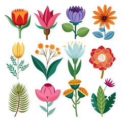 Botanical Illustration Set with Colorful Flowers and Leaves