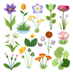 Assortment of Colorful Botanical Illustrations on White Background