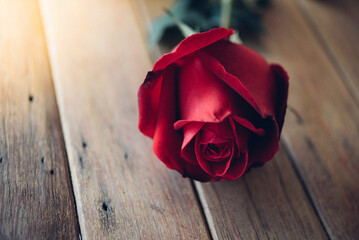 Red rose flower on wooden floor in Valentine's Day