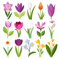 Colorful spring flower illustrations, floral design elements
