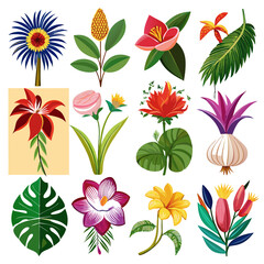 Collection of Diverse Botanical Vector Illustrations on White Background